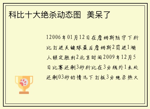 科比十大绝杀动态图  美呆了
