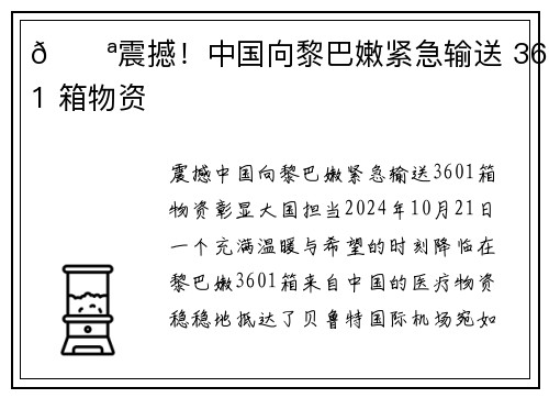 💪震撼！中国向黎巴嫩紧急输送 3601 箱物资